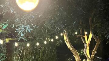 A tree with a string of lights and a bench underneath.