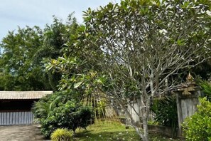 A tree in a courtyard with a thatched-roof structure in the background. - Pikul Homestay (Hat Yai)