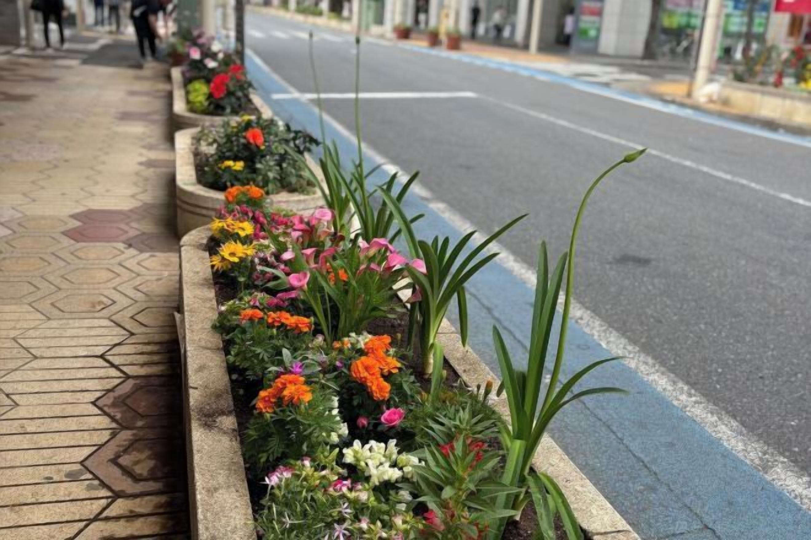 施設の敷地