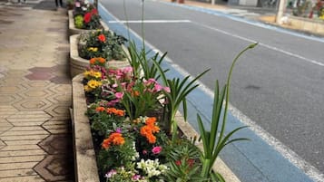 施設の敷地
