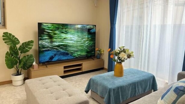 A living room with a flat-screen TV, a sofa, a coffee table, a potted plant, and a vase with flowers. - Lapis House 201 2F&3F (Tokyo)