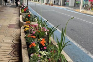 Property grounds - Lapis House 201 2F&3F (Tokyo)