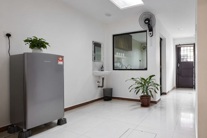 A modern kitchen with a refrigerator, sink, and potted plants.