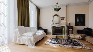 TV, fireplace, books