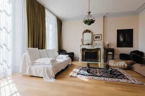 TV, fireplace, books