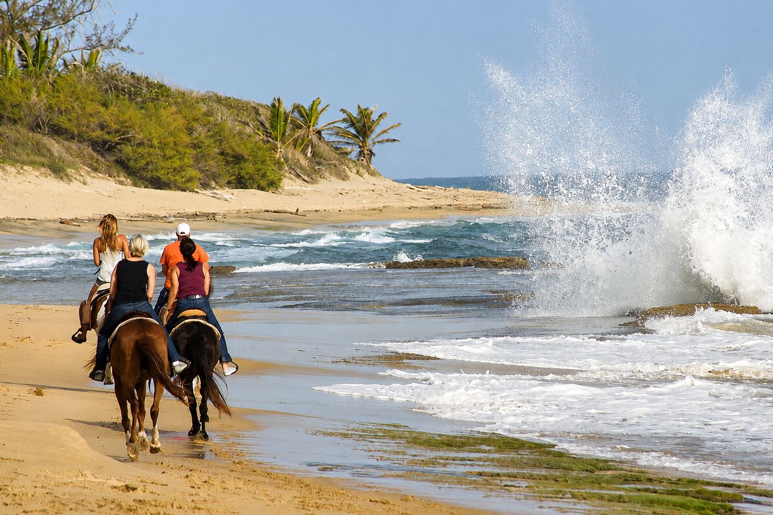 Cena de praia com pessoas cavalgando na margem.