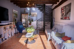 TV - Guest Room 'Suite Bleuet - Le Petit Puits' with Shared Garden and Wi-Fi (Cheverny)