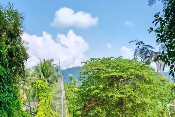 Unclassified image, 1 of 24, button - Laos Supre Hotel (Luang Prabang)