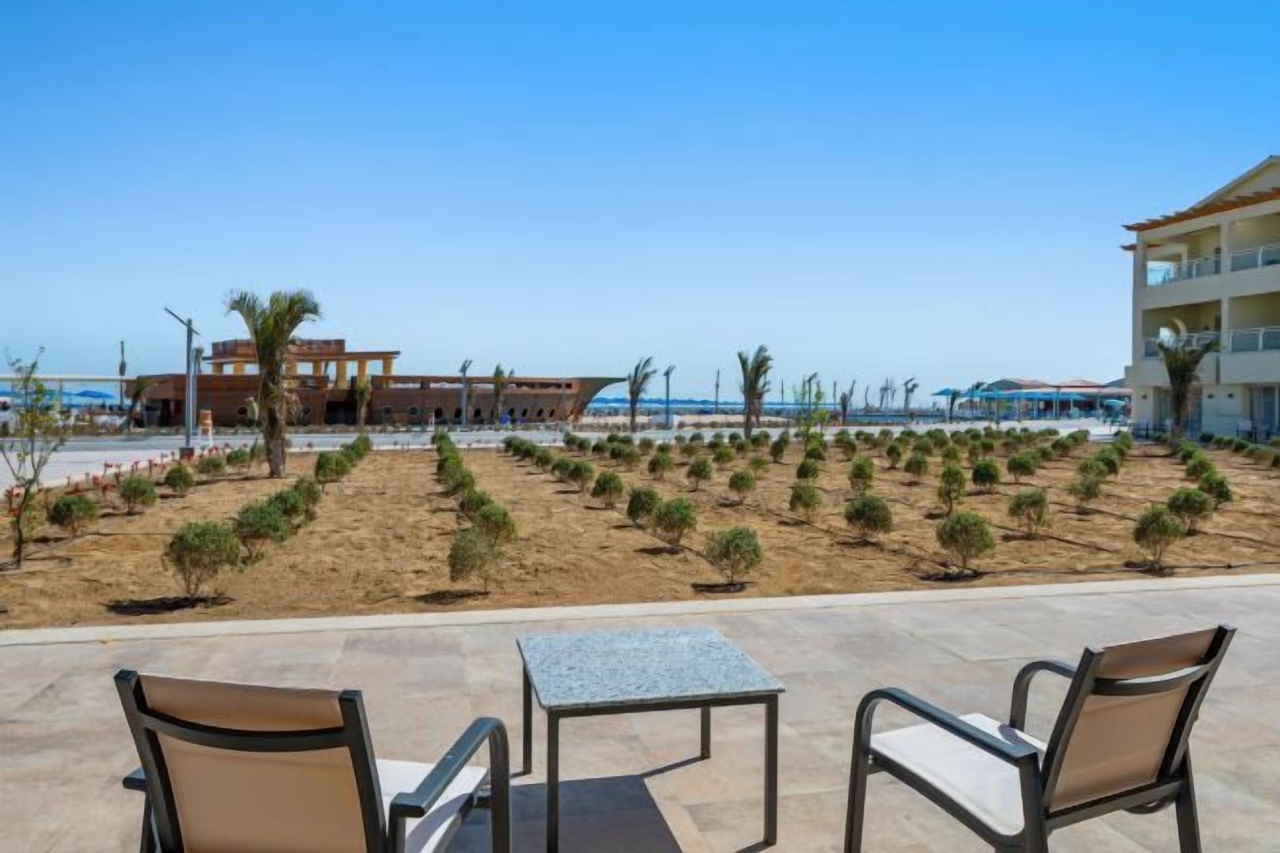 Een terras aan het strand met buitenmeubilair, een zandgebied met kleine planten, en een gebouw op de achtergrond.