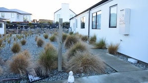A modern building with a white exterior, a concrete pathway, and a variety of grasses and shrubs in the surrounding area. - Alpine Star (Lake Tekapo)