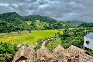 Vista de campos de arroz escalonados, un sendero y tradicionales chozas de bambú con mesas y sillas.