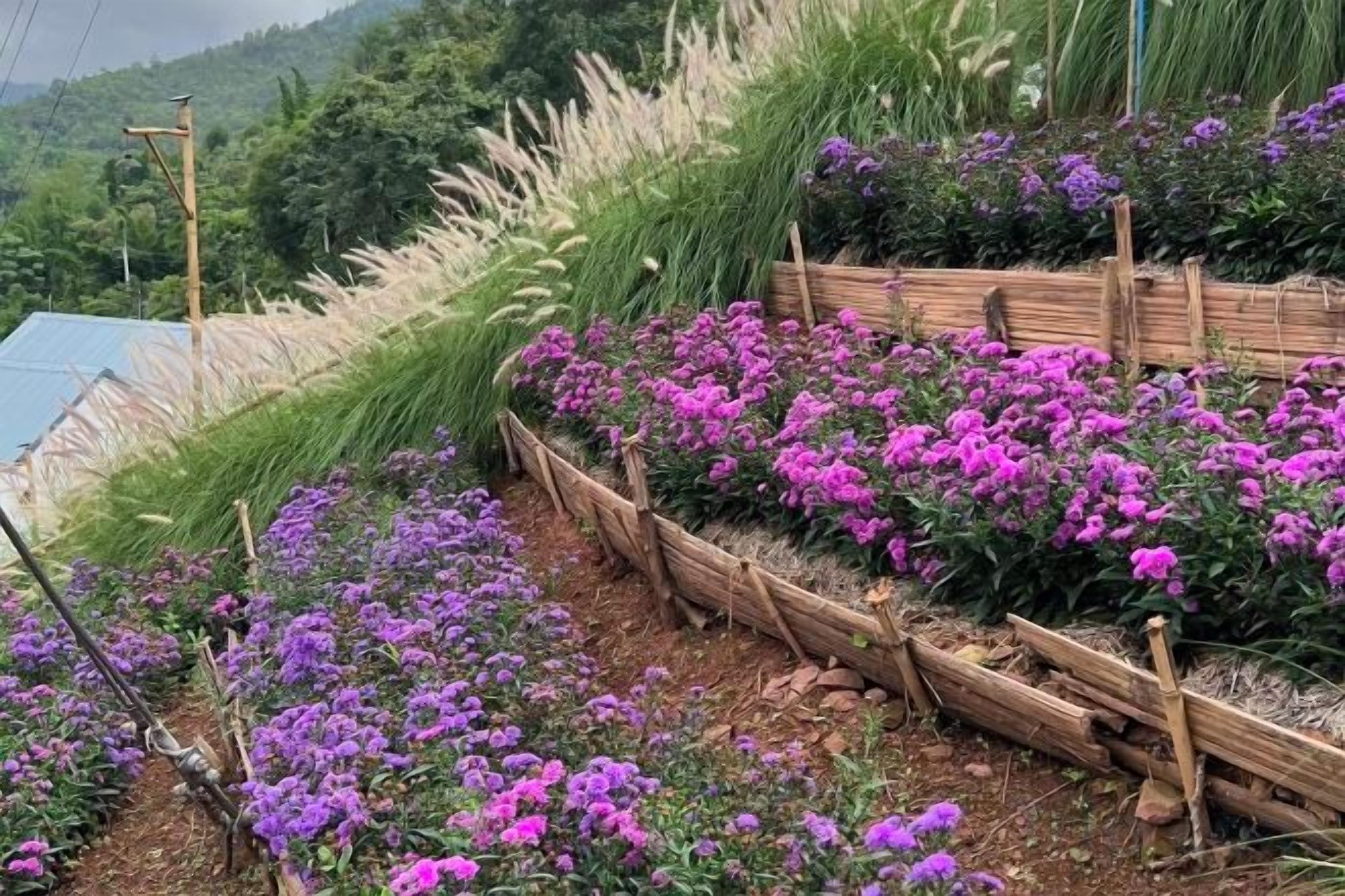 Un jardín con macizos de flores elevados y una valla de madera.
