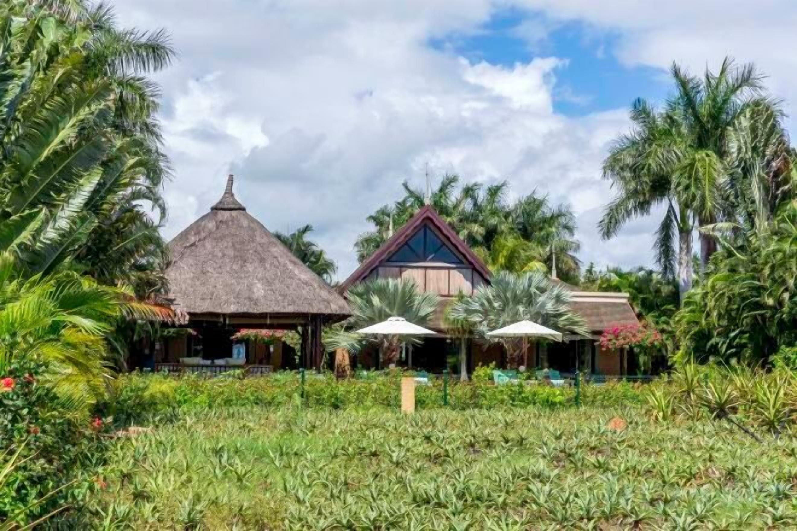 Um resort tropical com construções de telhado de palha, palmeiras e áreas de estar ao ar livre.