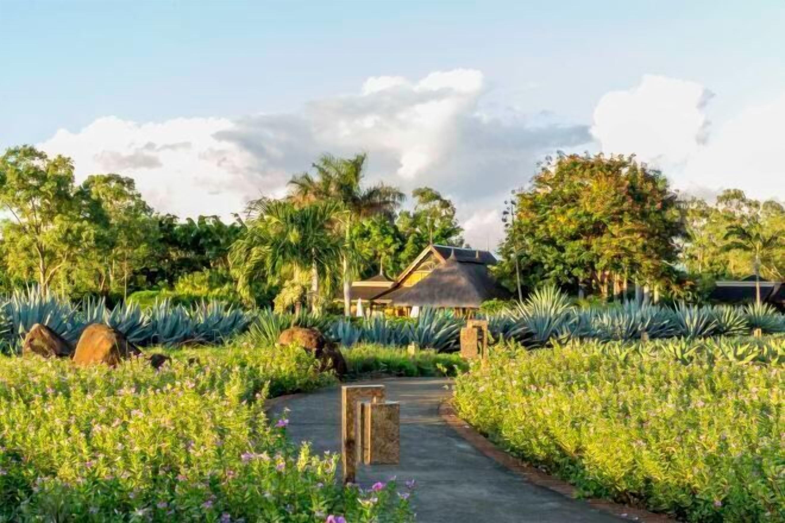 المنشأة من الخارج