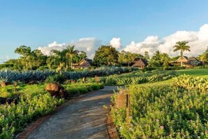 Jardines del alojamiento