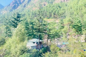 Unclassified image, 5 of 28, button - Dream Valley Kasol (Kasol)