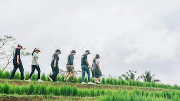 Un grupo de personas caminando sobre un campo de césped con un cielo nublado al fondo.