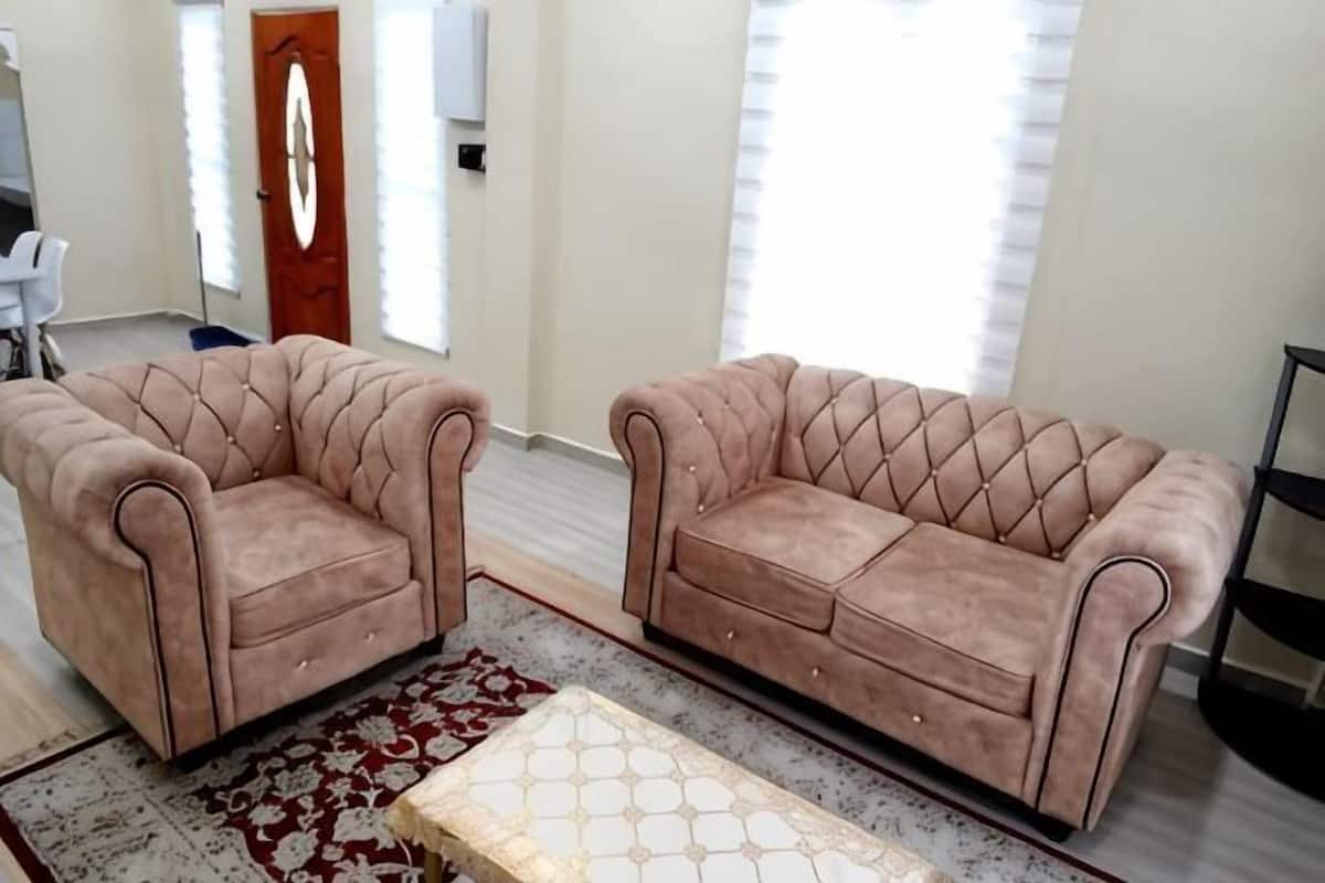A living room with two sofas, a patterned rug, and a wooden door.