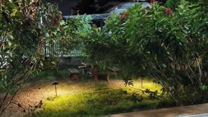 Ein Gartenbereich mit Holzbank, kleinem Tisch und einer Laterne.