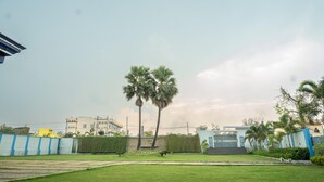 A residential area with a well-maintained lawn, palm trees, and a modern building with a blue and white facade. - Celebration Park (Gobindpur)