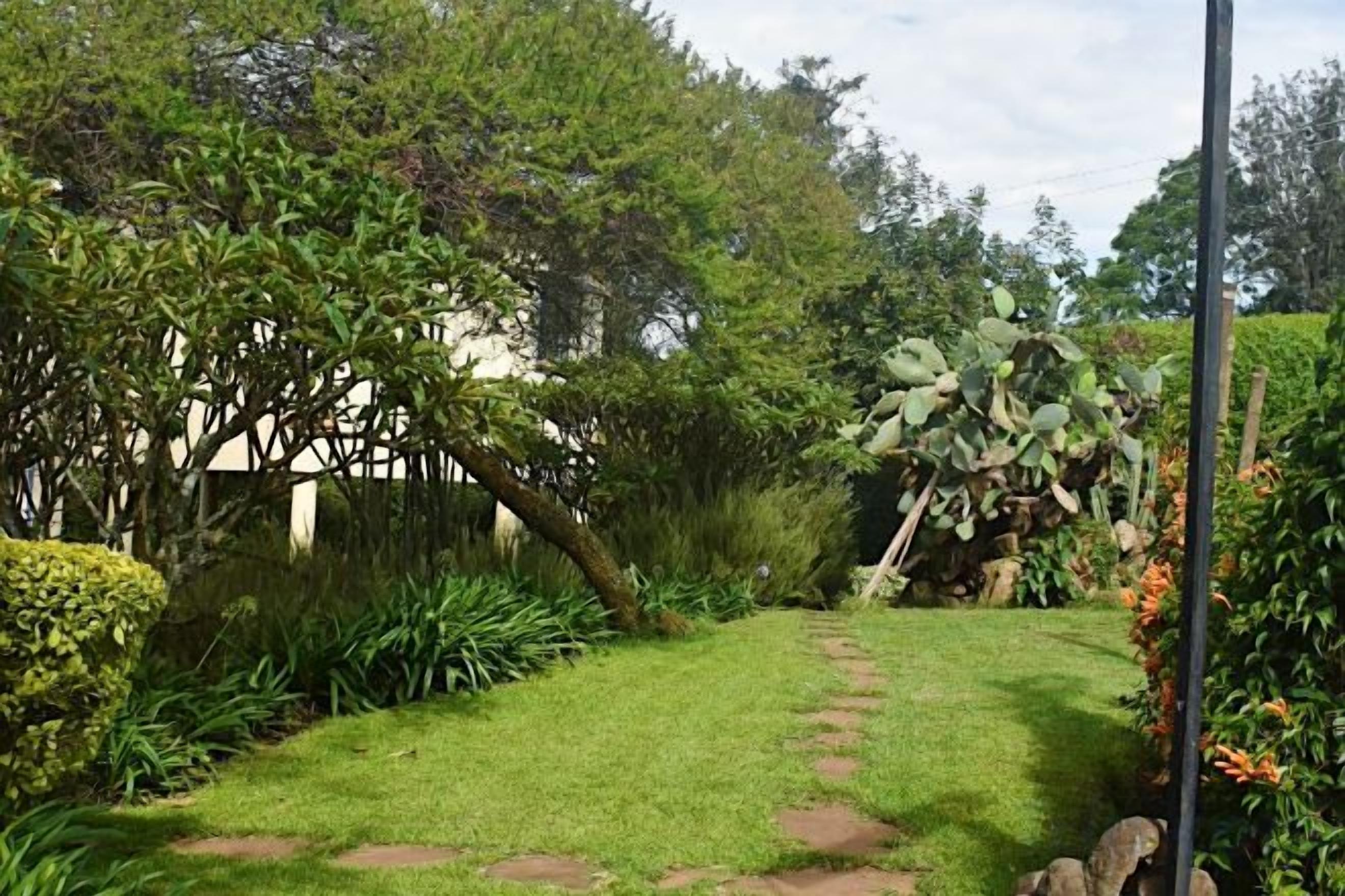 Un jardín con un sendero empedrado, diversas plantas y una cerca.