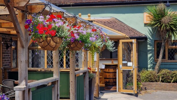 A building with a green door, a wooden fence, and hanging flower baskets. - Greyhound Inn Freehouse  (Winterborne Kingston)