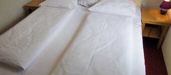 Hotel Rosenhof am Main