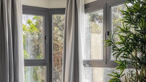 Una habitación moderna con un ventanal grande, una silla de madera, una mesa de vidrio y una planta en maceta.