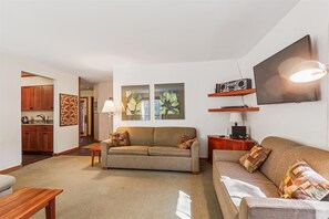 تلفزيون، مدفأة