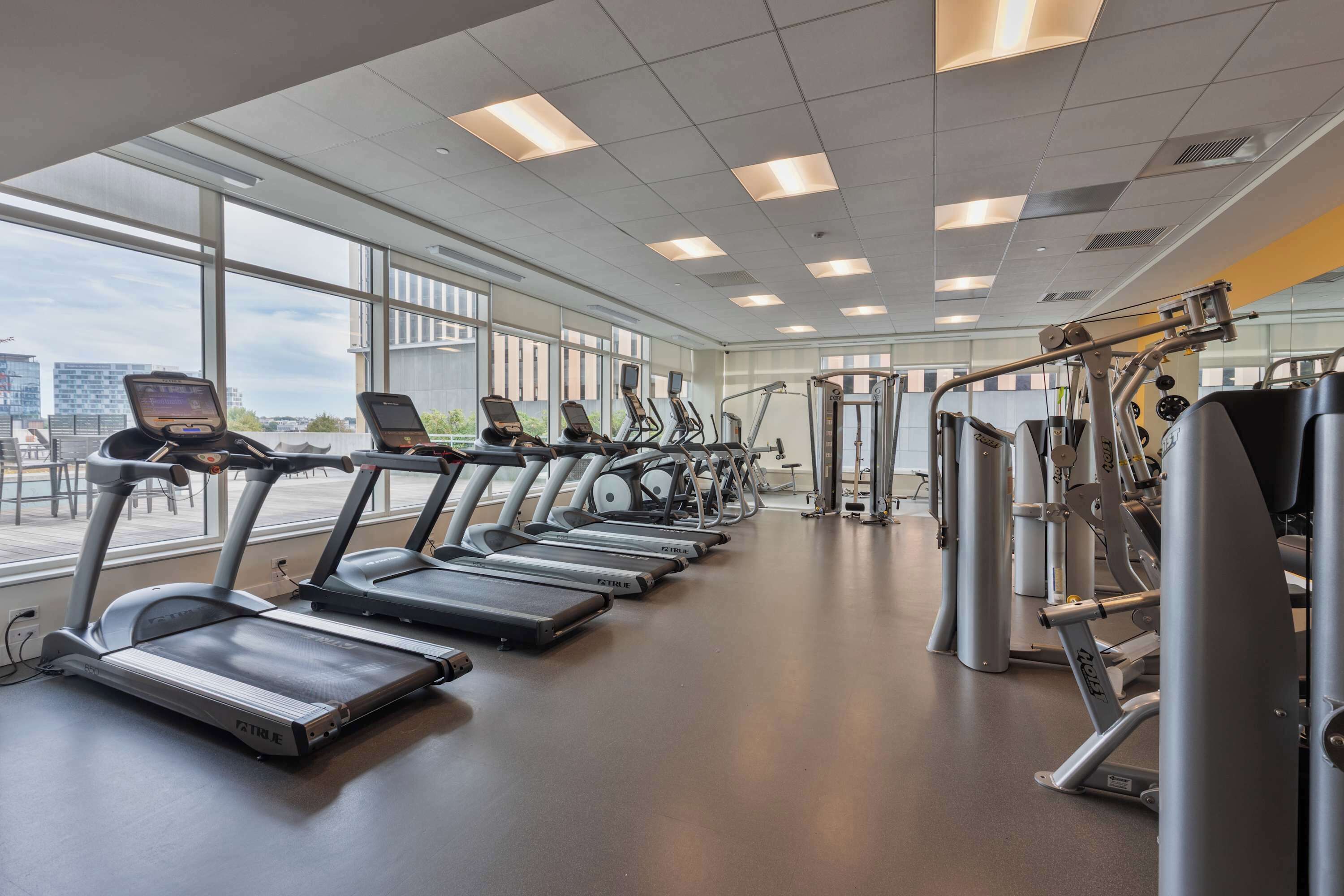 Area fitness