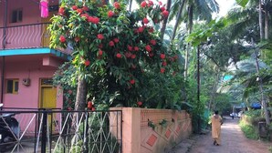 A residential area with a pink building, a metal gate, and a person walking down a dirt path. - Pritams Cottages (Canacona)