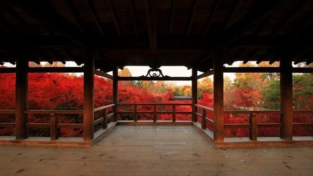 A wooden pavilion with a view of autumn foliage. - KIRAKU･KAYA (Kyoto)