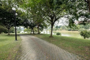 Een verhard pad in een park, met bomen en een lantaarnpaal.