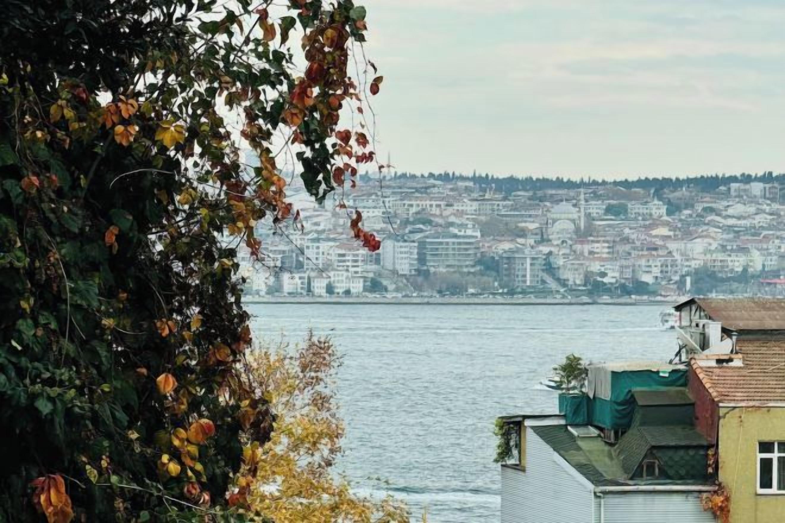 A waterfront view with buildings in the background.