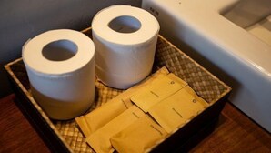 A tray with two rolls of toilet paper and three brown paper bags. - Enchanting Canggu Villa (Bali)