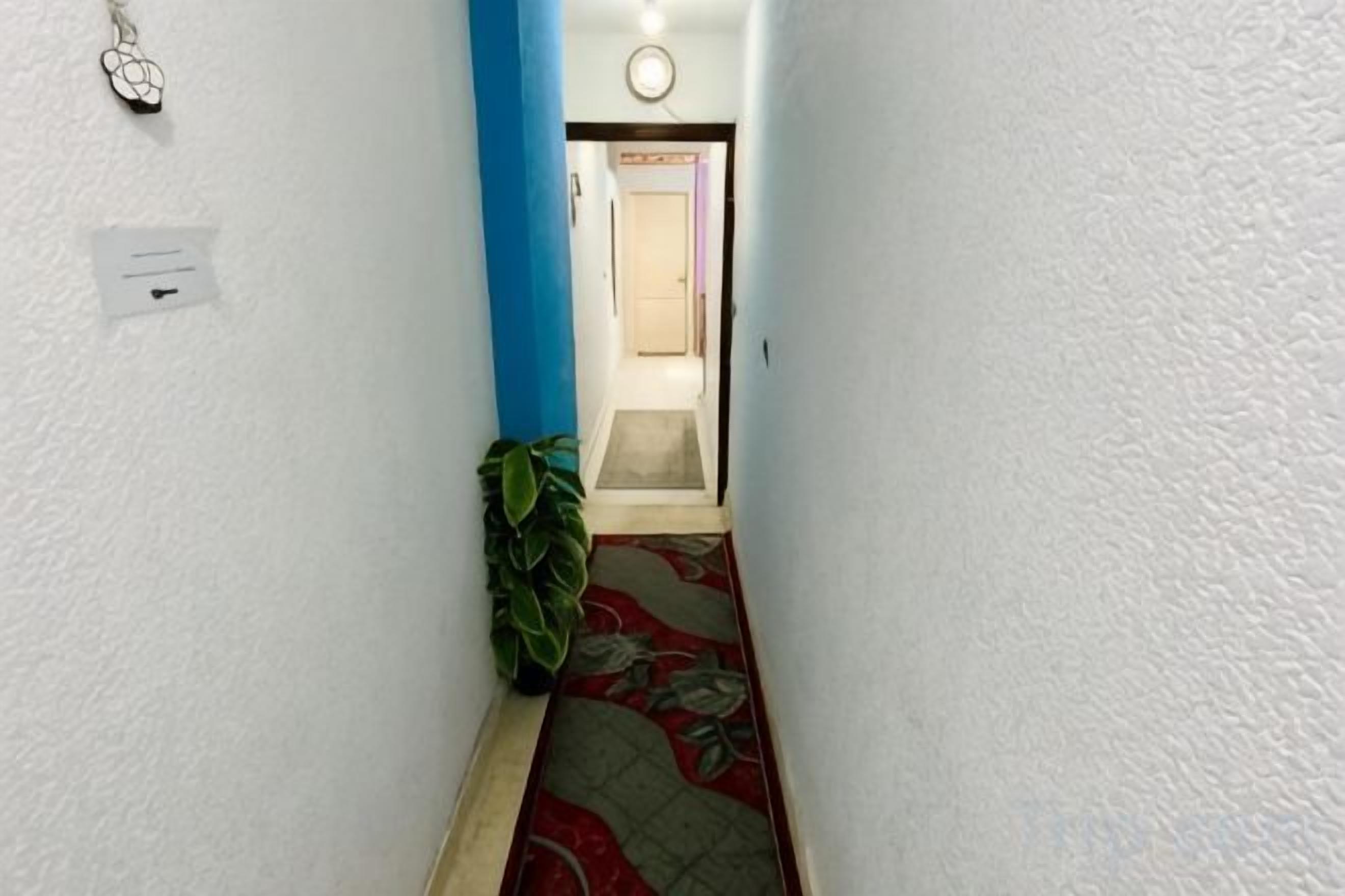 A narrow hallway with a plant, a door at the end, and a light switch on the wall.