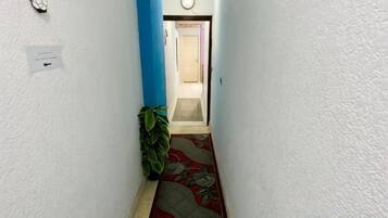 A narrow hallway with a plant, a door at the end, and a light switch on the wall.