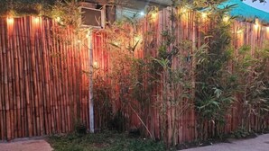 Property grounds - Natural Haven w/ Netflix,Videoke & Alfresco Dining (Dasmarinas)