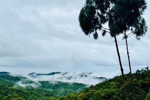 รูปภาพที่ไม่ได้จัดประเภท, 4 จาก 7, ปุ่ม