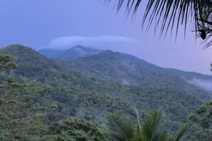 รูปภาพที่ไม่ได้จัดประเภท, 3 จาก 7, ปุ่ม