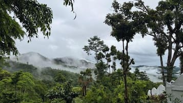 A lush green landscape with trees and a mountain in the background.