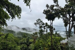 Bahagian luar