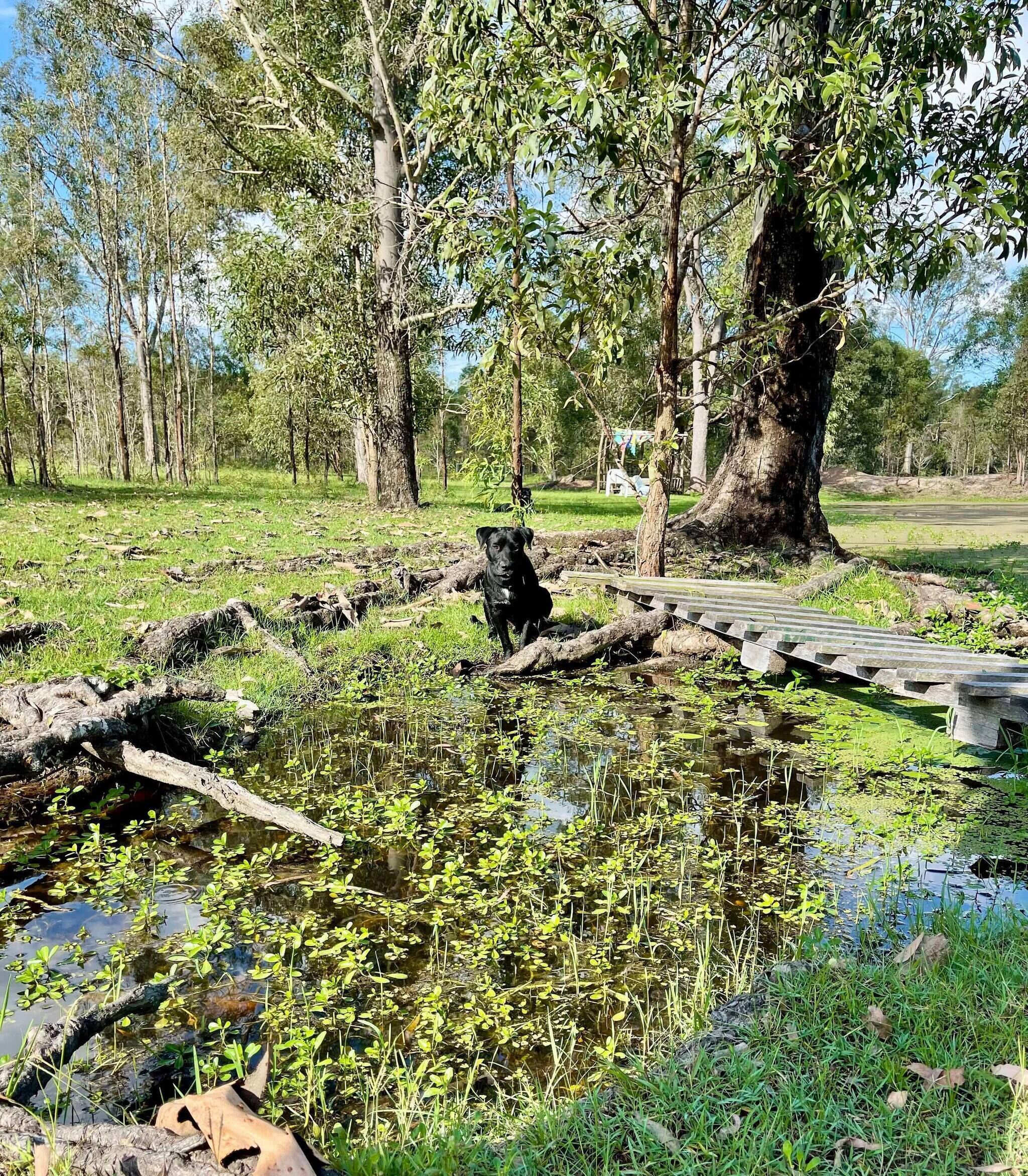 Rumah, 2 kamar tidur, akses difabel, Boleh Merokok | Halaman properti