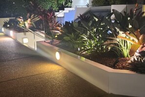 Garden - Helen's house (Surfers Paradise)