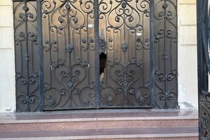 外観の詳細
