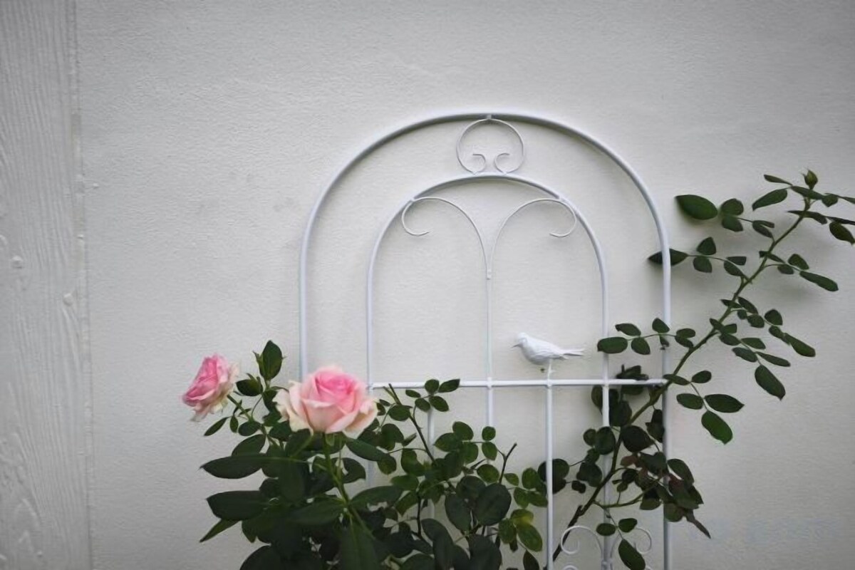 Détail de l’intérieur