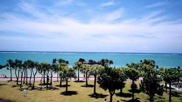 A coastal view with a grassy area, trees, and a clear sky.