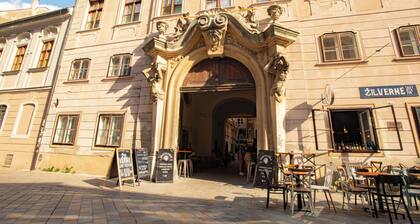 Elegant City-Center Apartment in Bratislava’s Prestigious Esterházy Palace