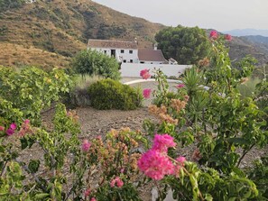 تصميم المبنى