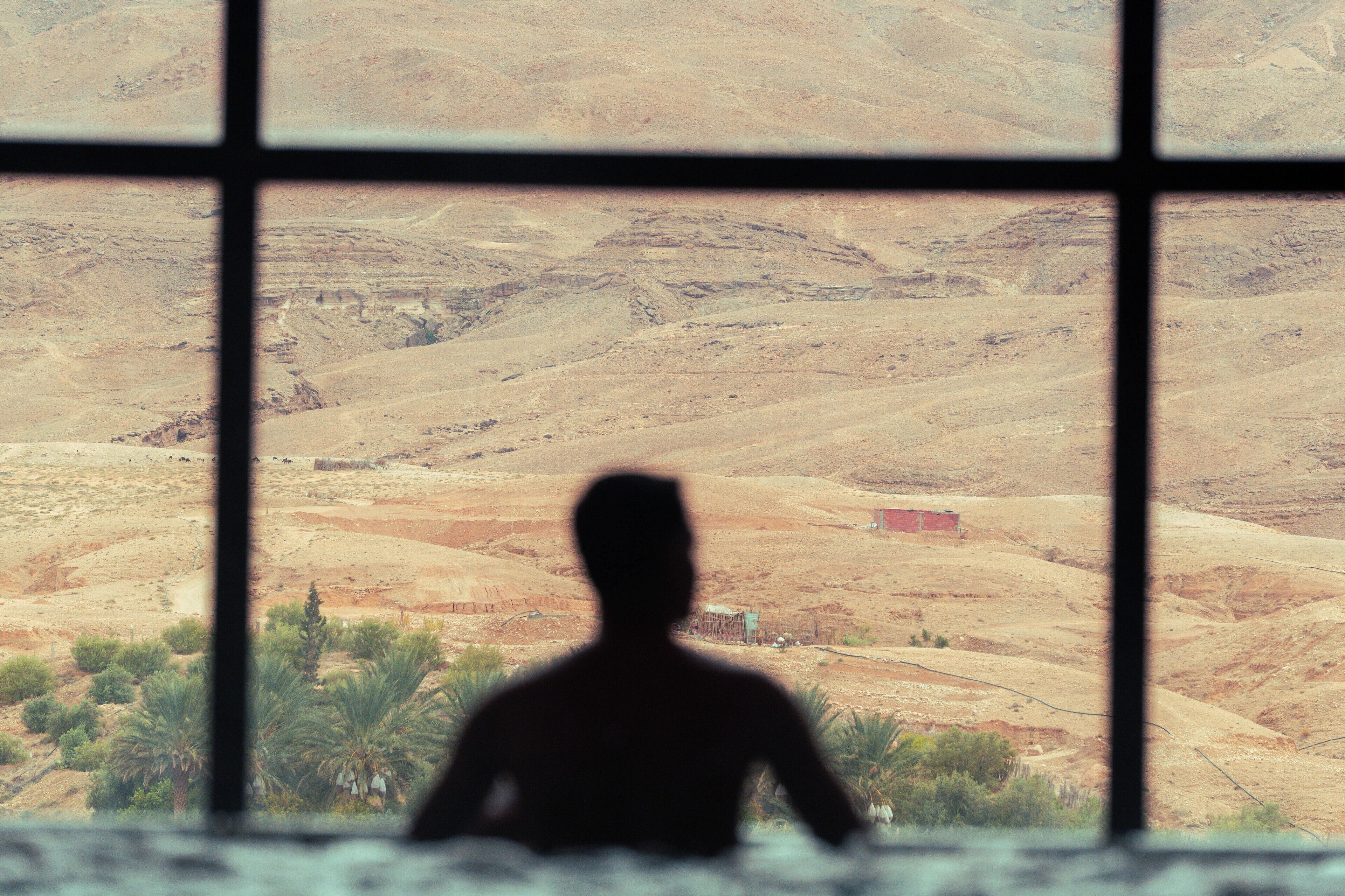 A silhouette of a person looking out of a window at a desert landscape.